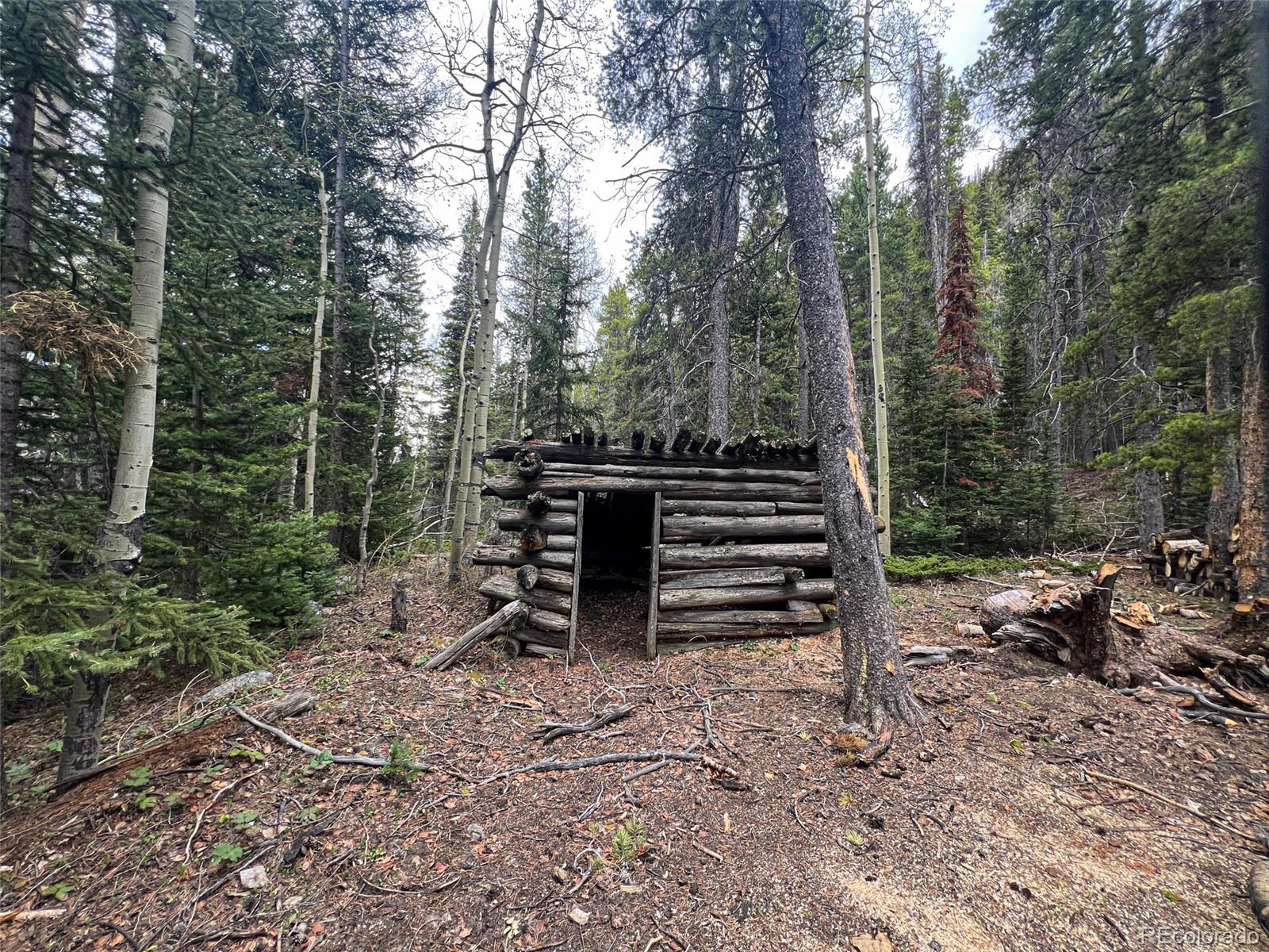 000 Unassigned Forest Road 365 Avenue