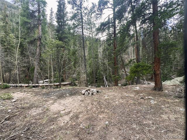 000 Unassigned Forest Road 365 Avenue