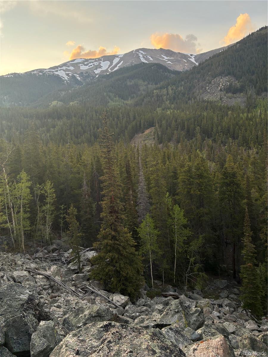 000 Unassigned Forest Road 365 Avenue