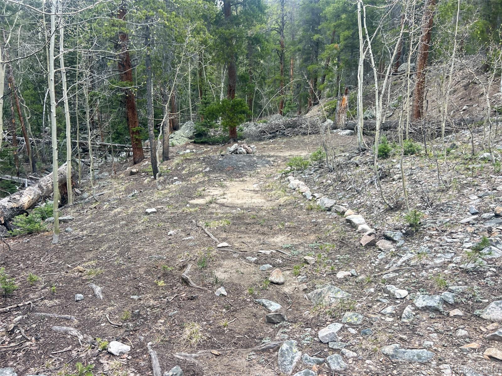 000 Unassigned Forest Road 365 Avenue