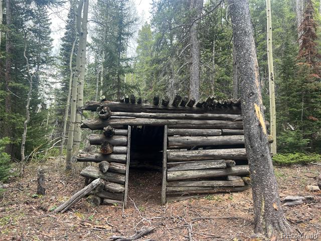 000 Unassigned Forest Road 365 Avenue