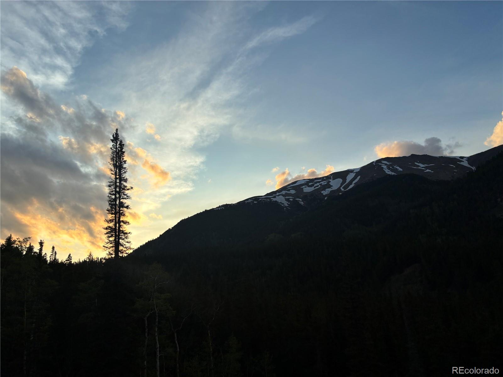 000 Unassigned Forest Road 365 Avenue