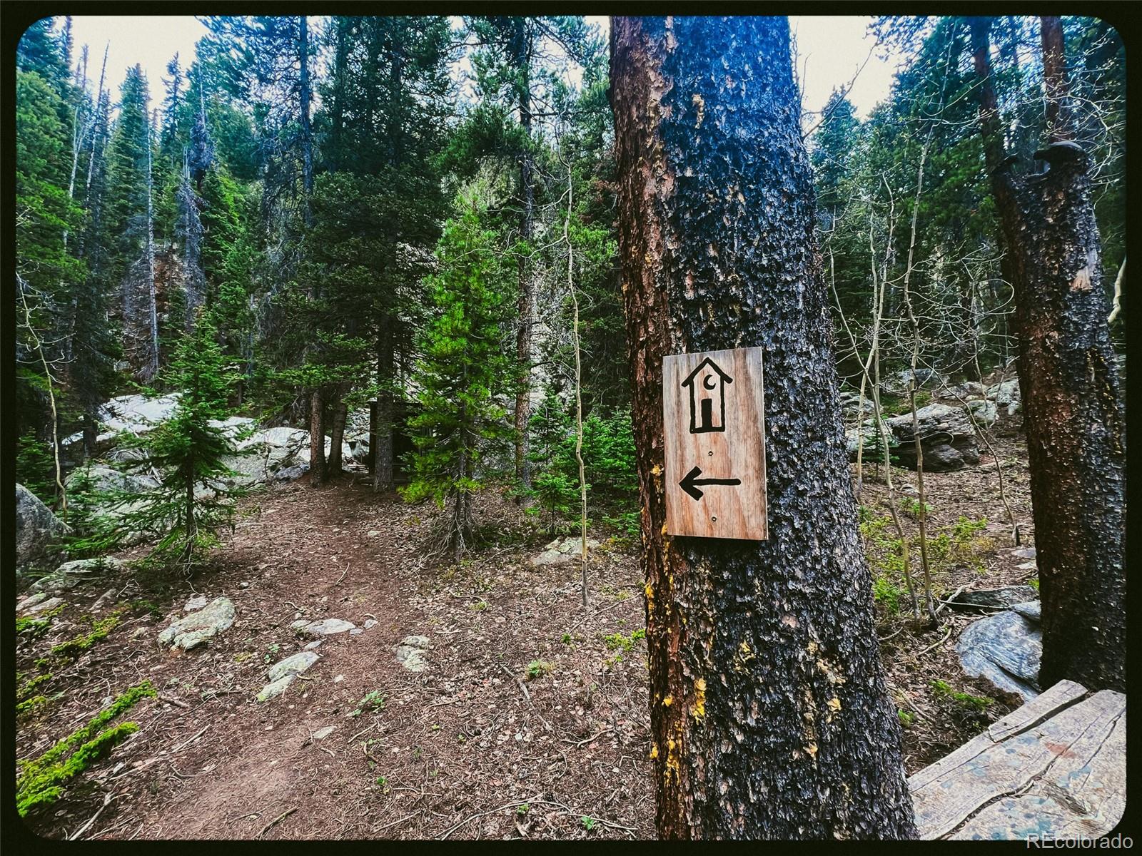 000 Unassigned Forest Road 365 Avenue