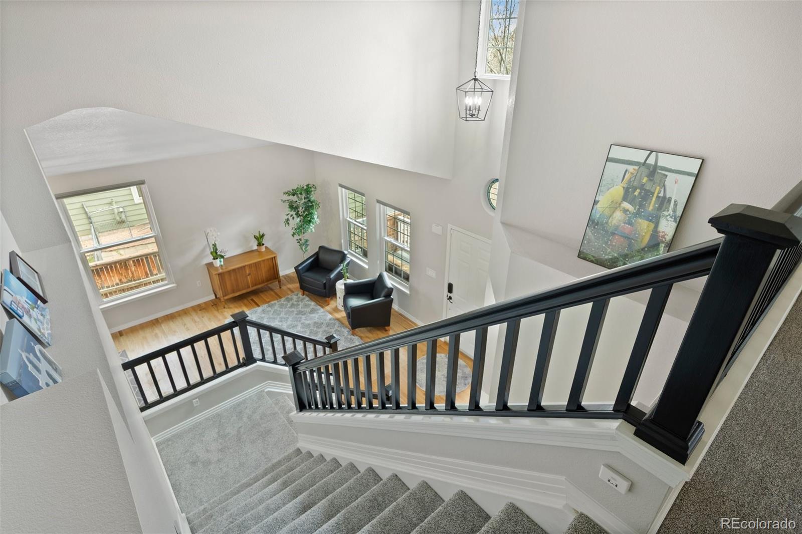 4235 Lark Sparrow Street