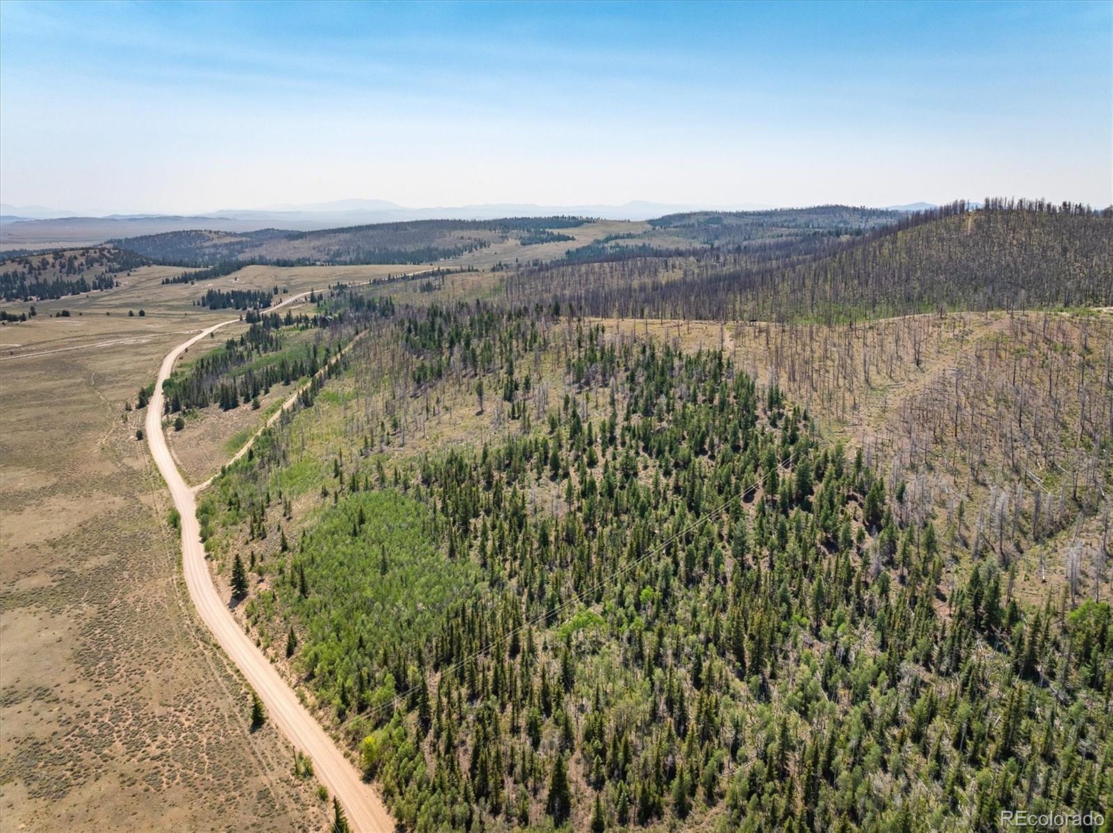 637 Lynch Creek Court