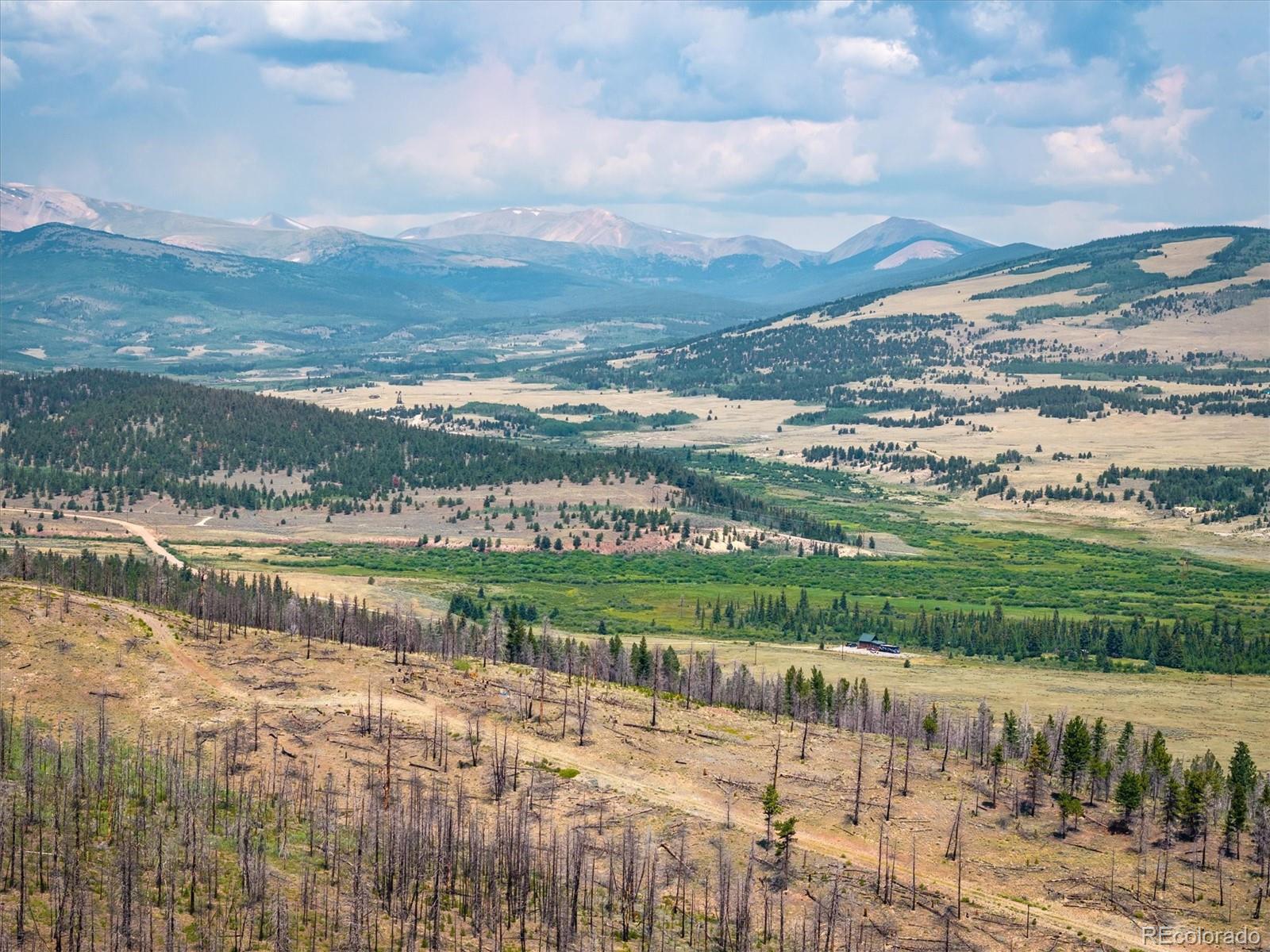 637 Lynch Creek Court