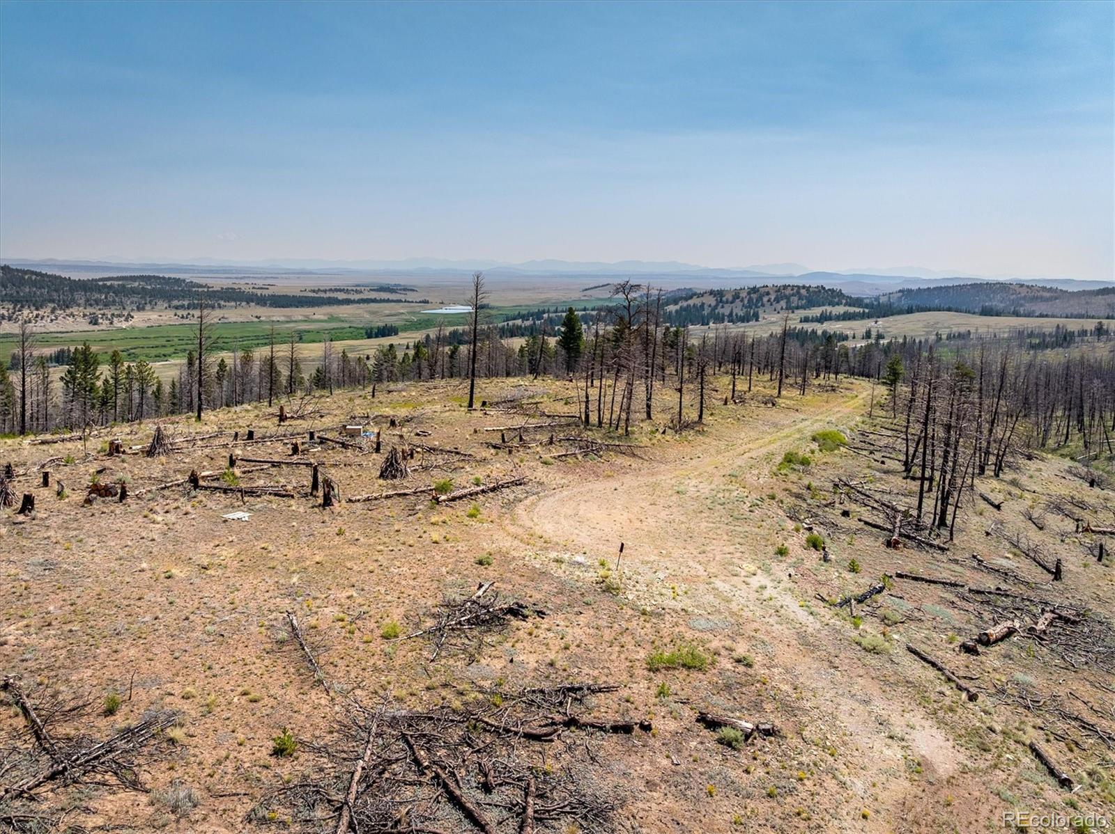 637 Lynch Creek Court