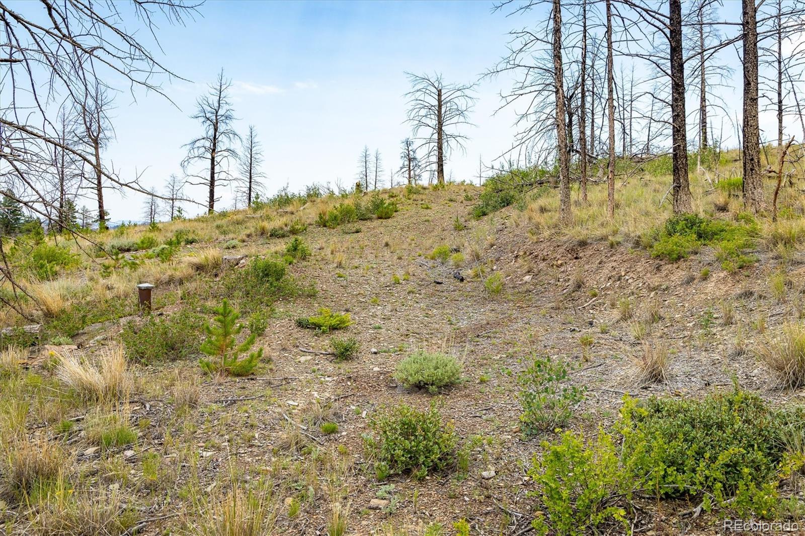 637 Lynch Creek Court