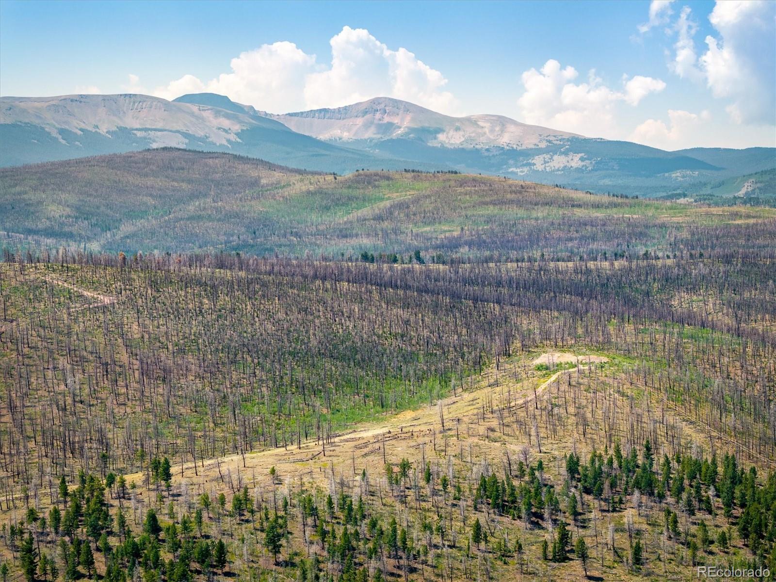 637 Lynch Creek Court