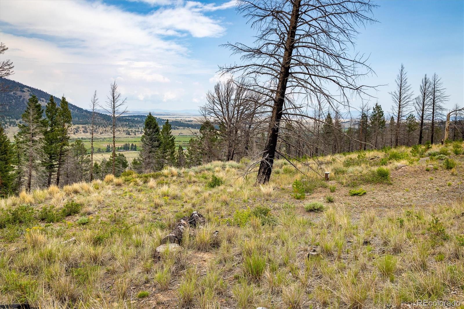 637 Lynch Creek Court