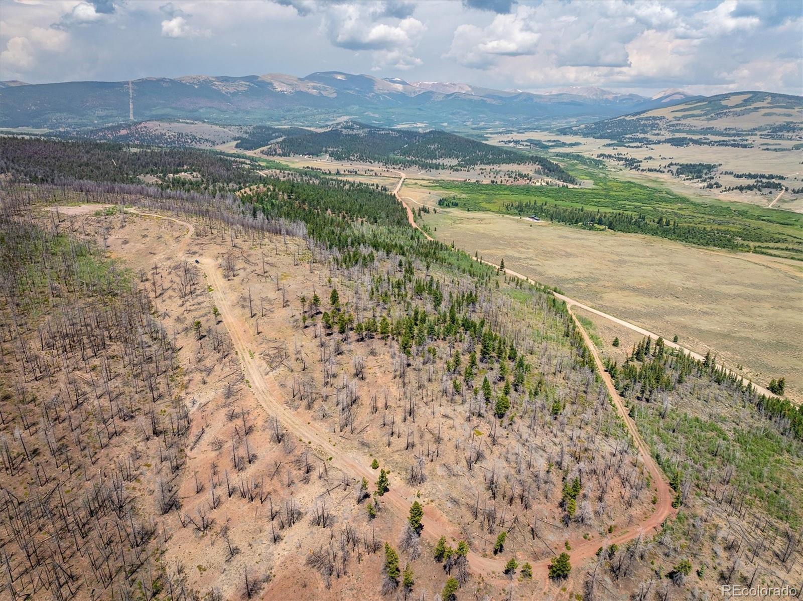 637 Lynch Creek Court