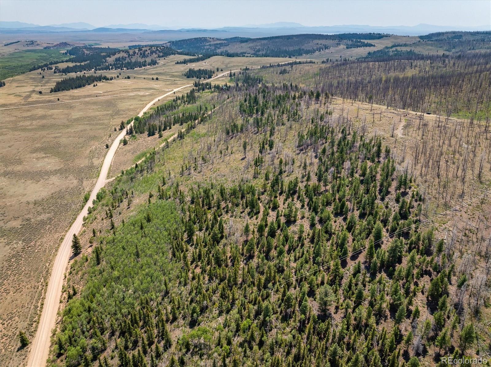 637 Lynch Creek Court