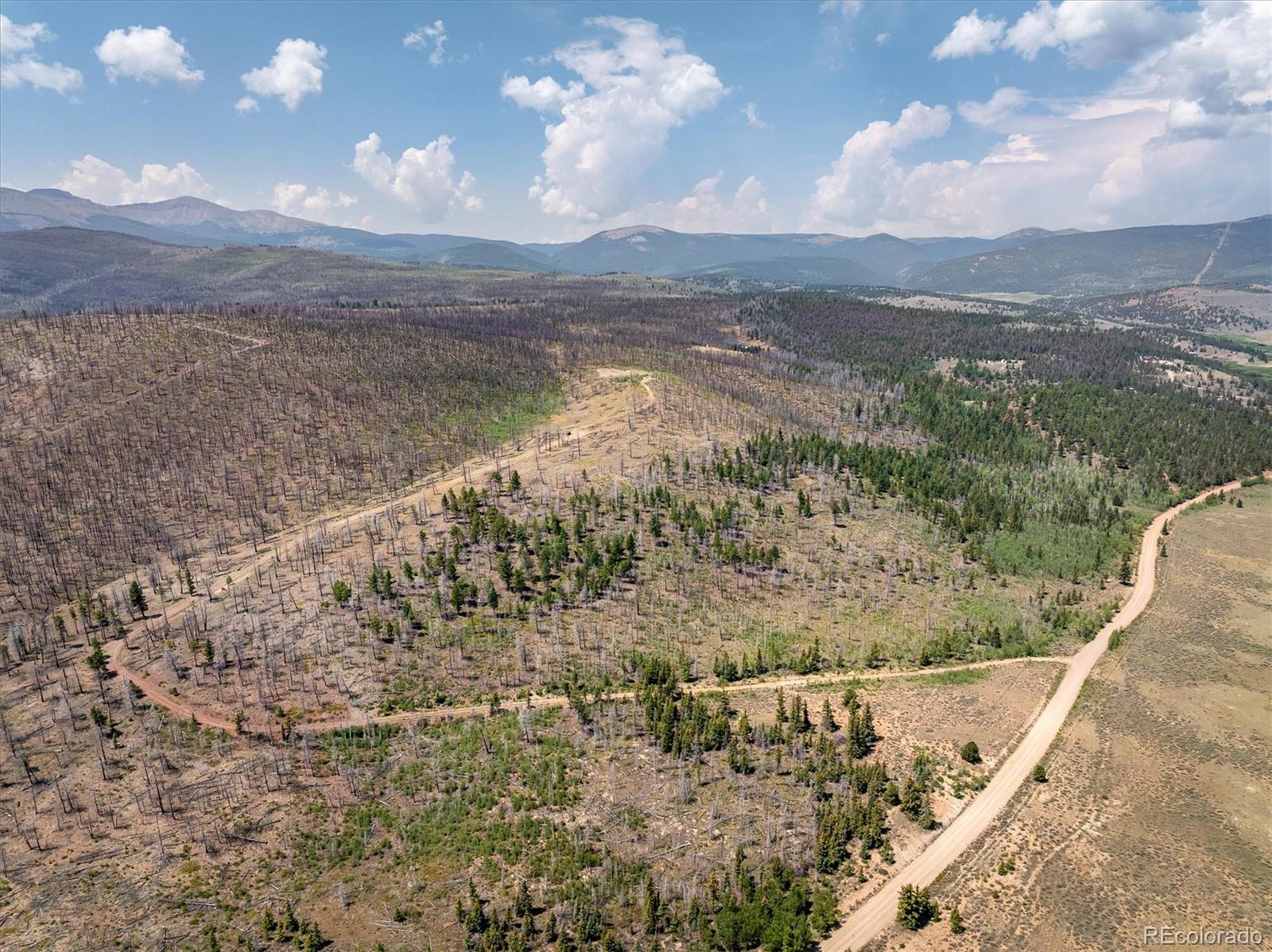 637 Lynch Creek Court