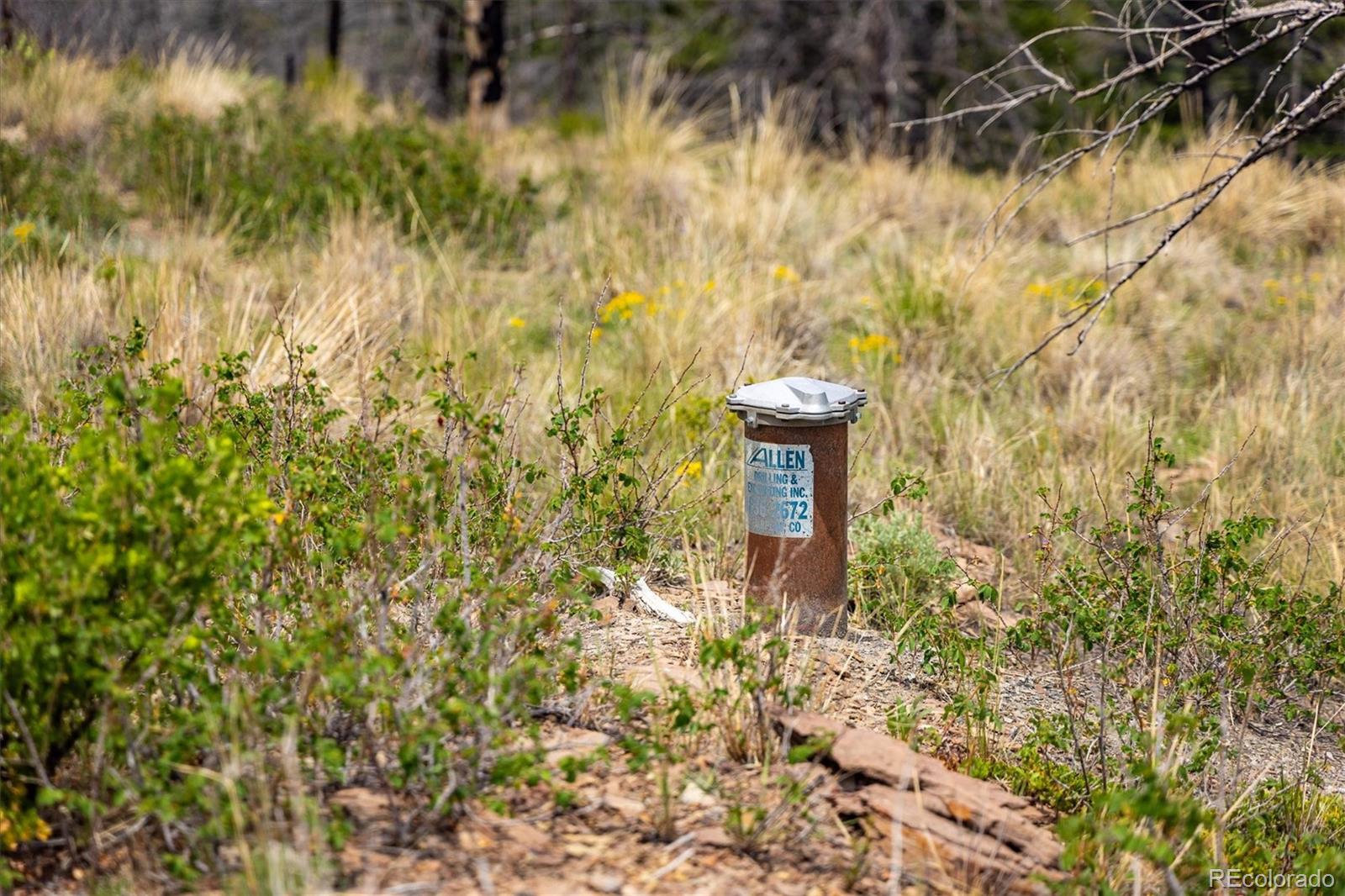 637 Lynch Creek Court