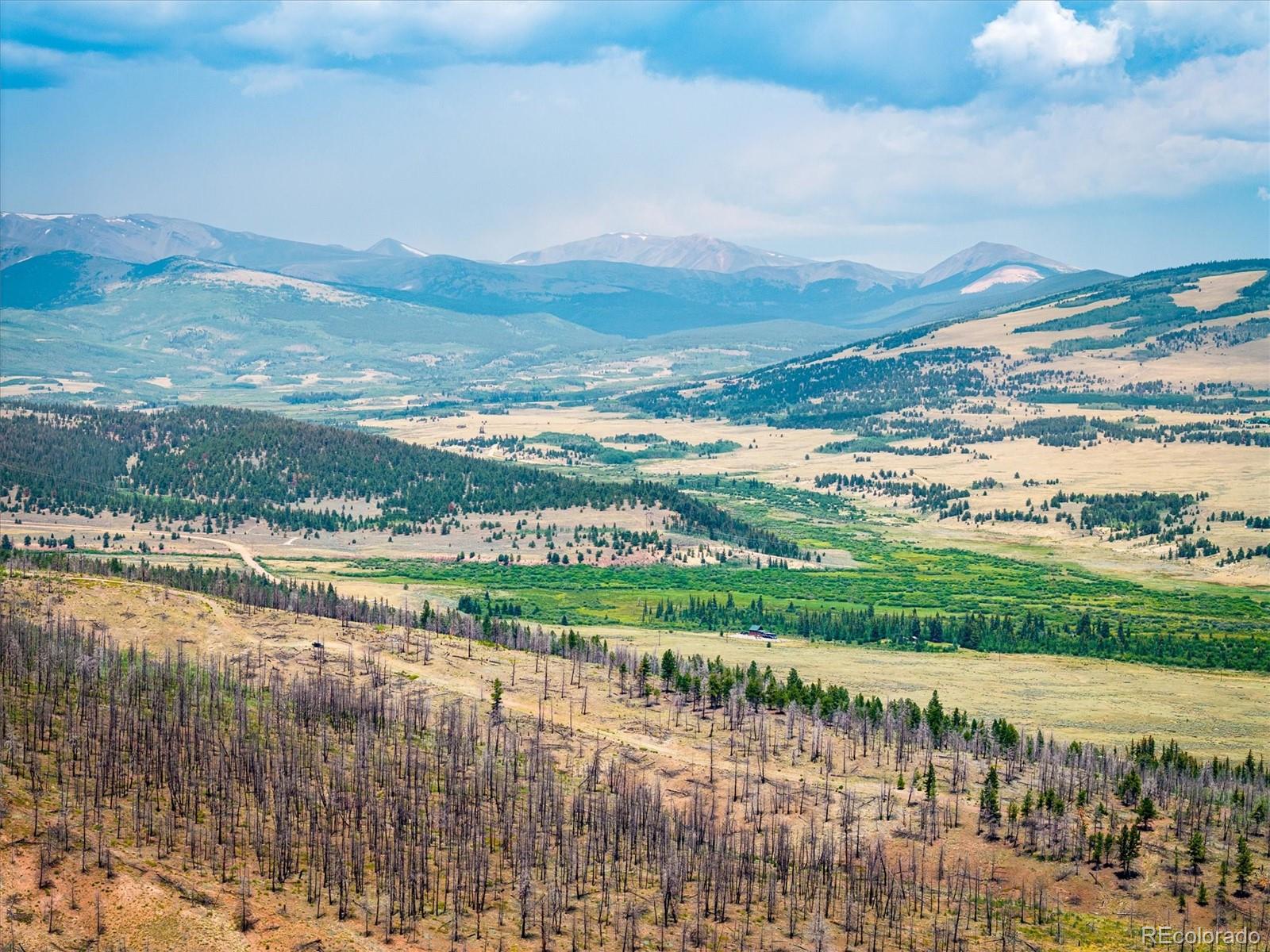 637 Lynch Creek Court