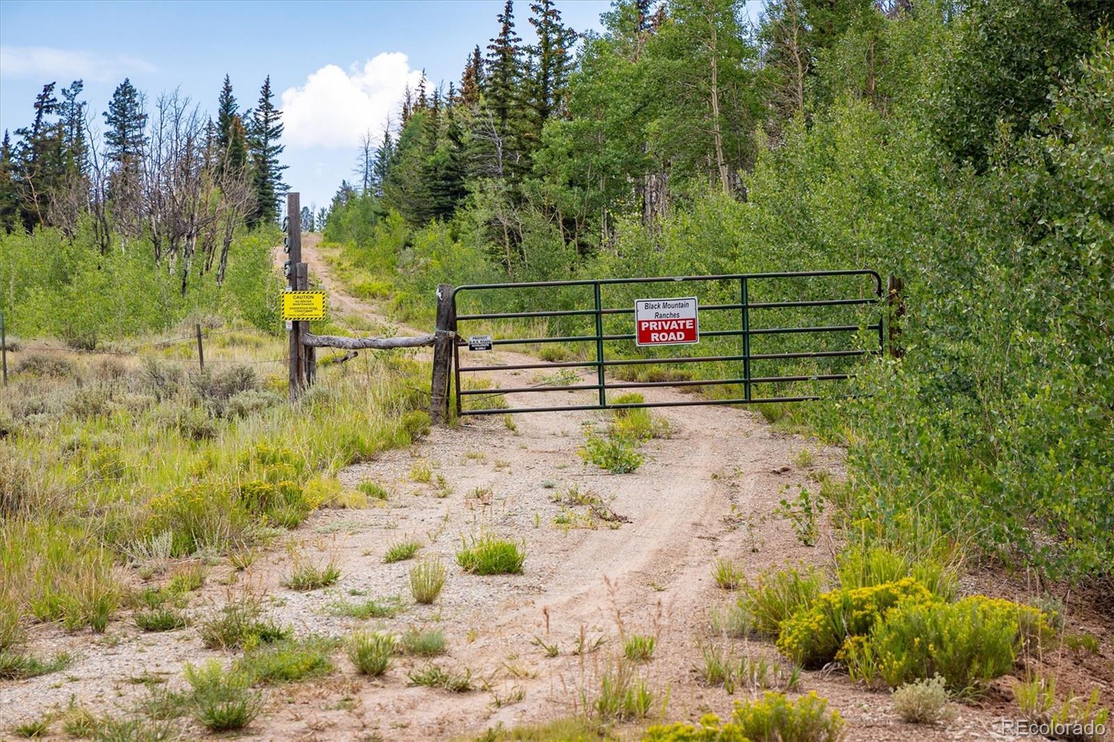 637 Lynch Creek Court