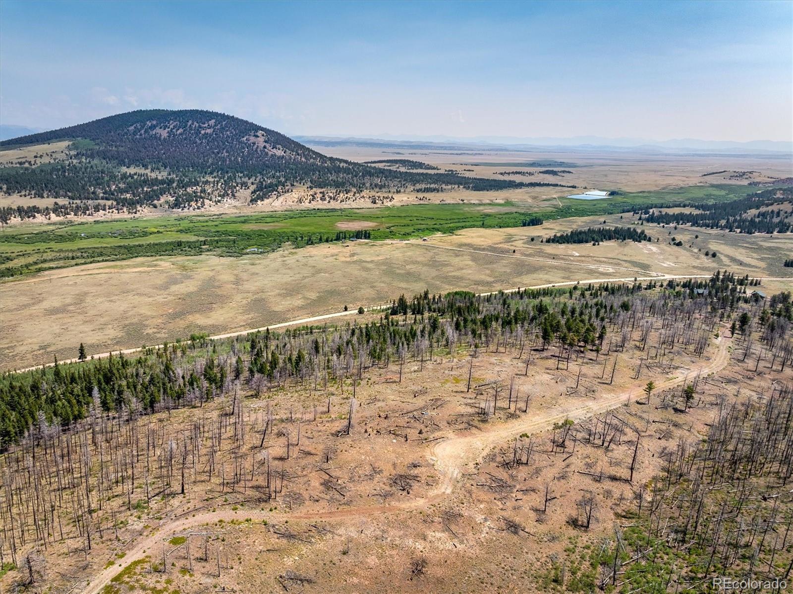 637 Lynch Creek Court