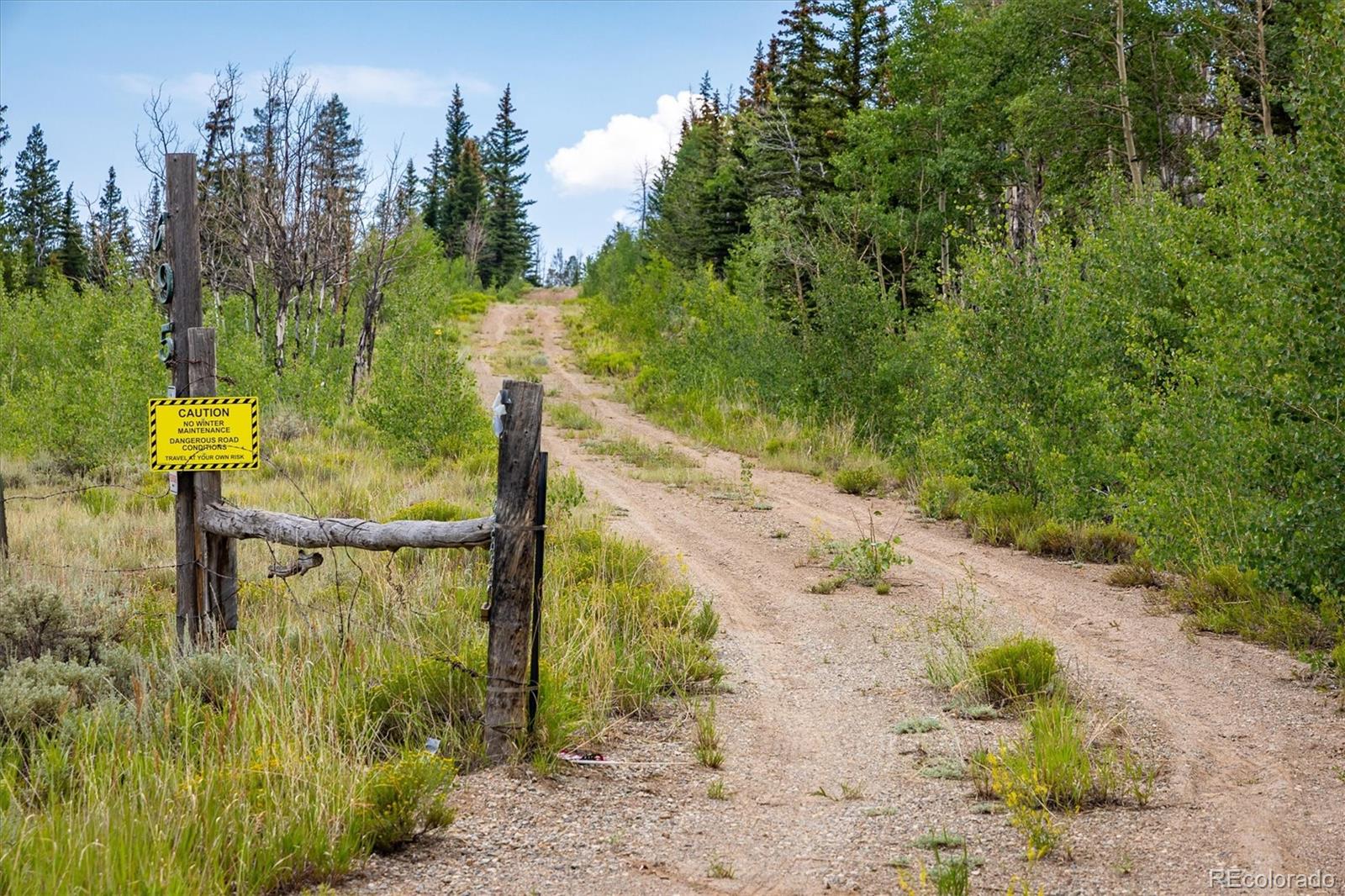 637 Lynch Creek Court