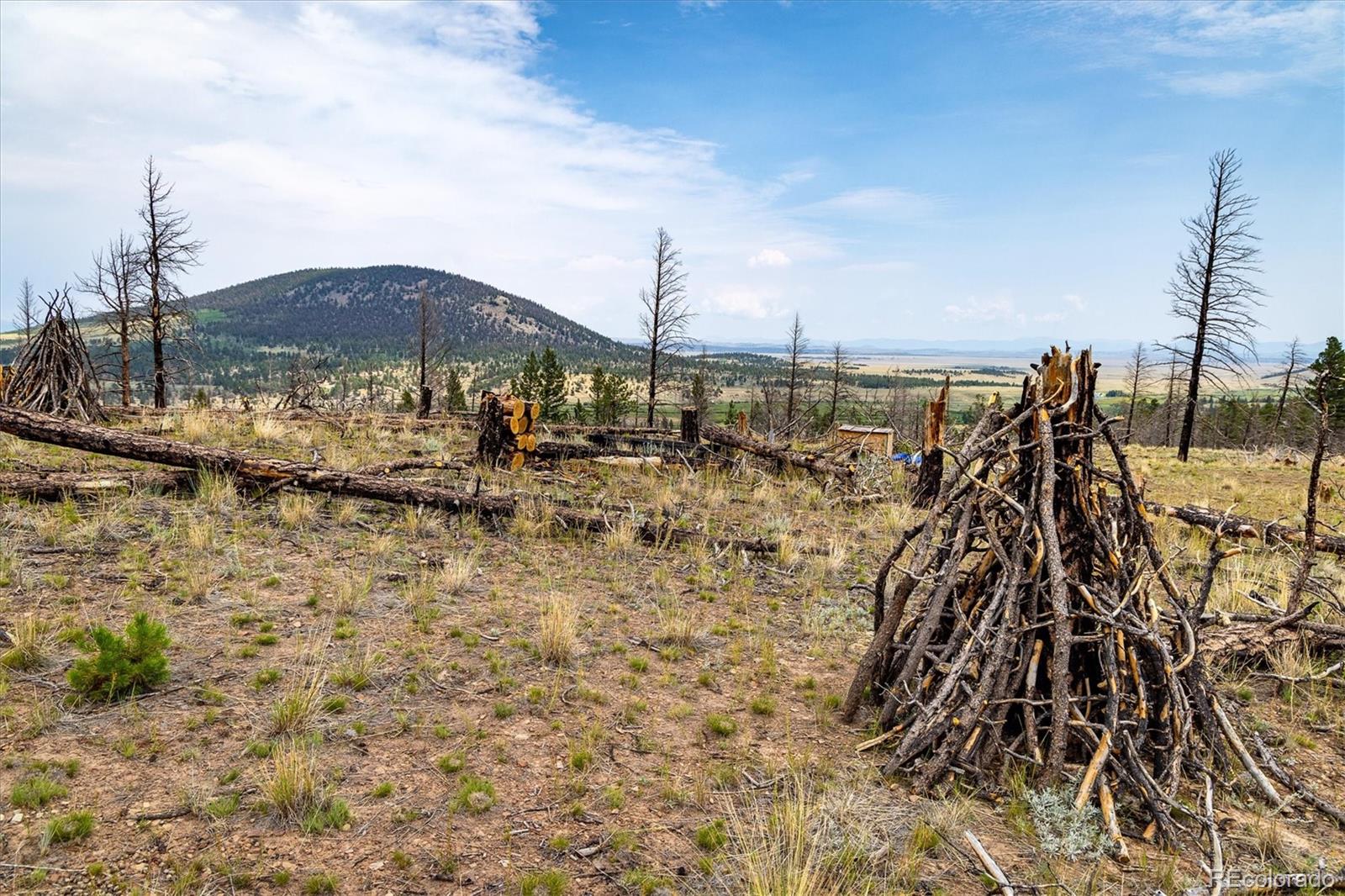 637 Lynch Creek Court