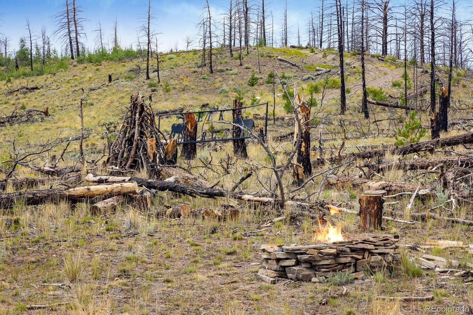 637 Lynch Creek Court