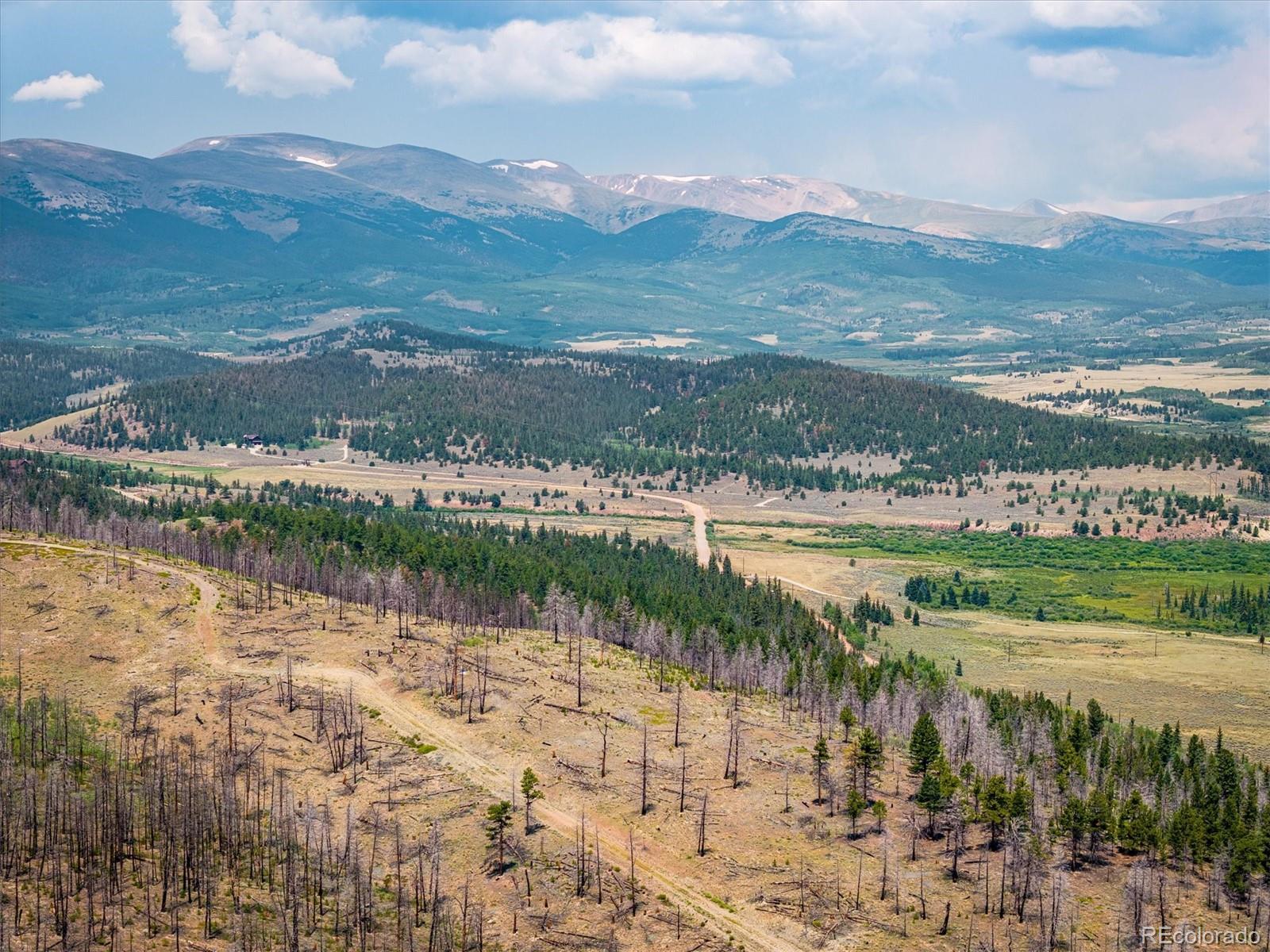 637 Lynch Creek Court