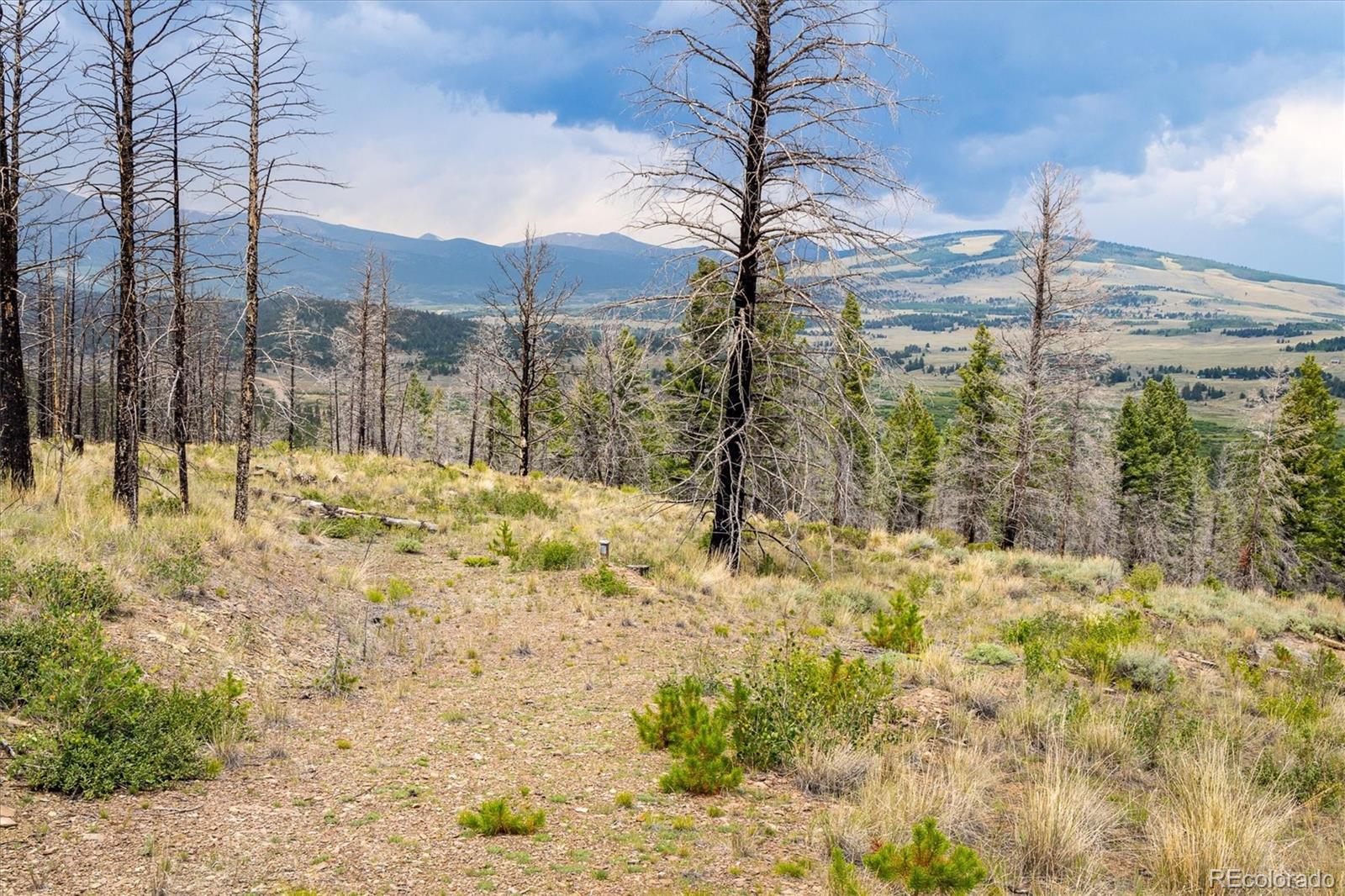 637 Lynch Creek Court