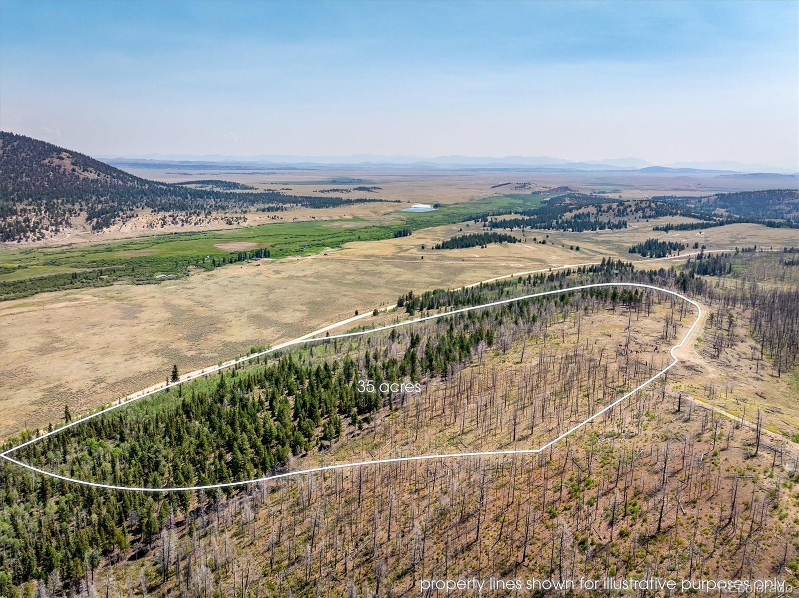 637 Lynch Creek Court