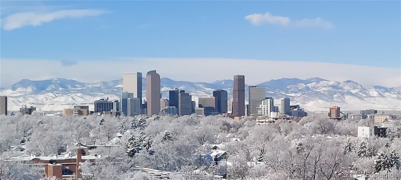 1155 Ash Street Unit: 1401