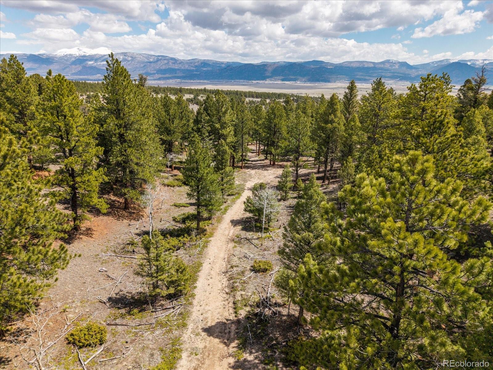 24900 County Road 339