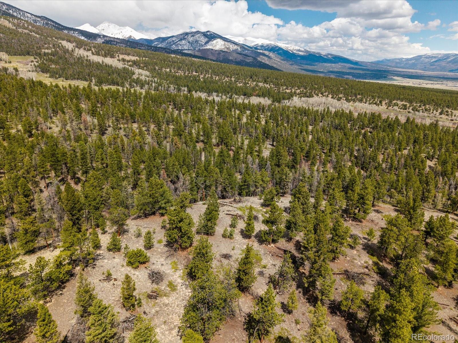 24900 County Road 339