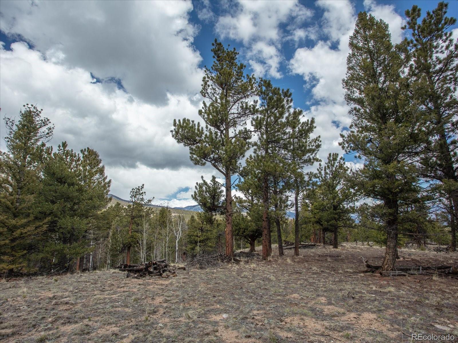 24900 County Road 339