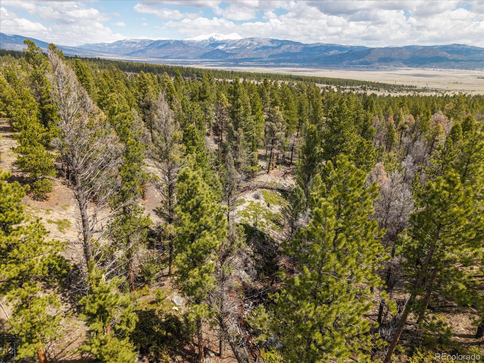 24900 County Road 339