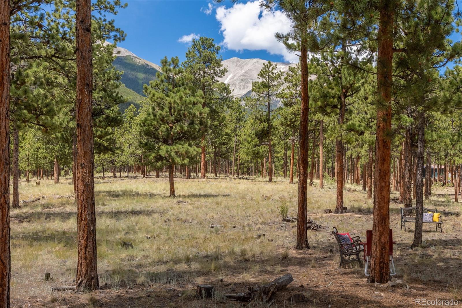 16530 Mt Princeton Road