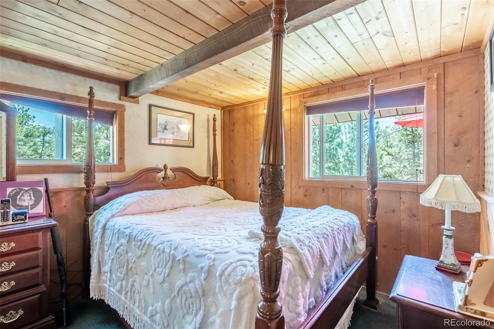 16530 Mt Princeton Road