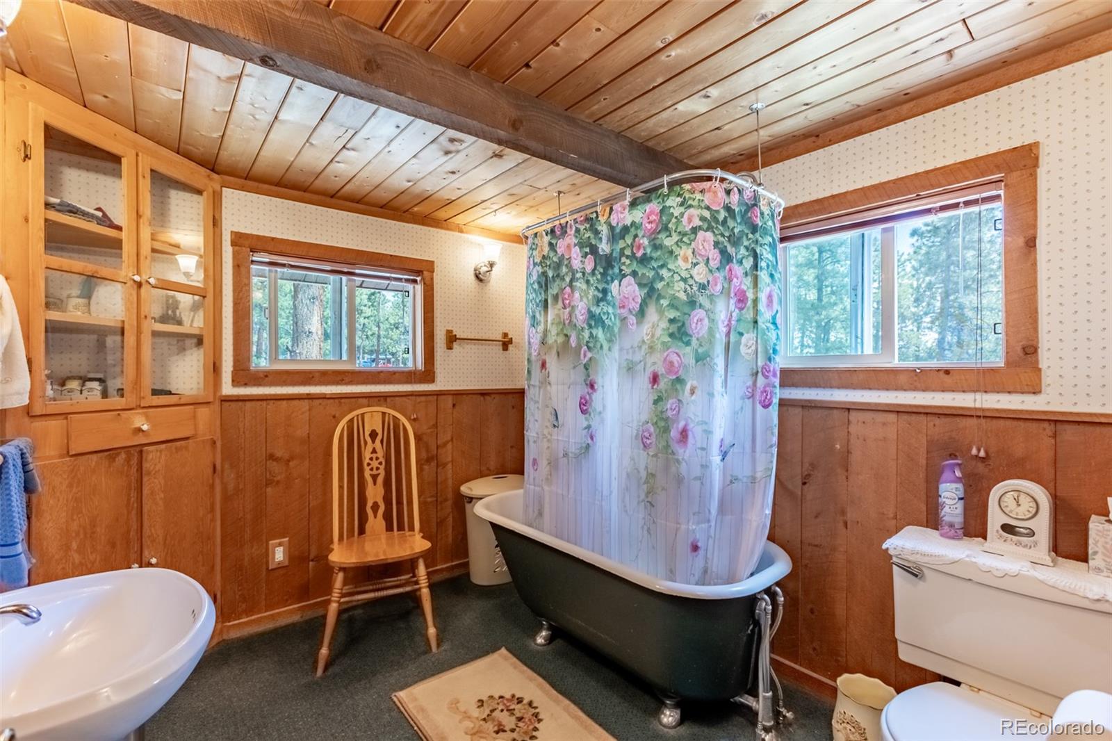 16530 Mt Princeton Road