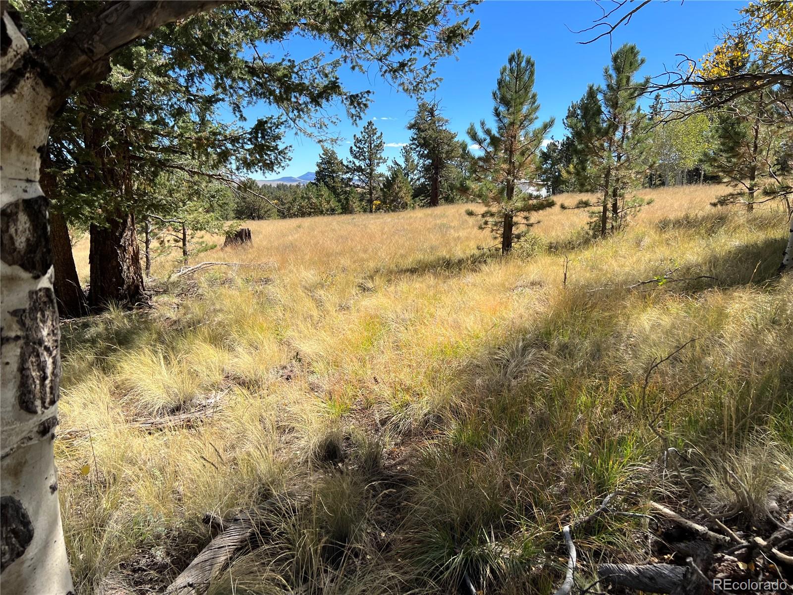 9430 Ranch Road