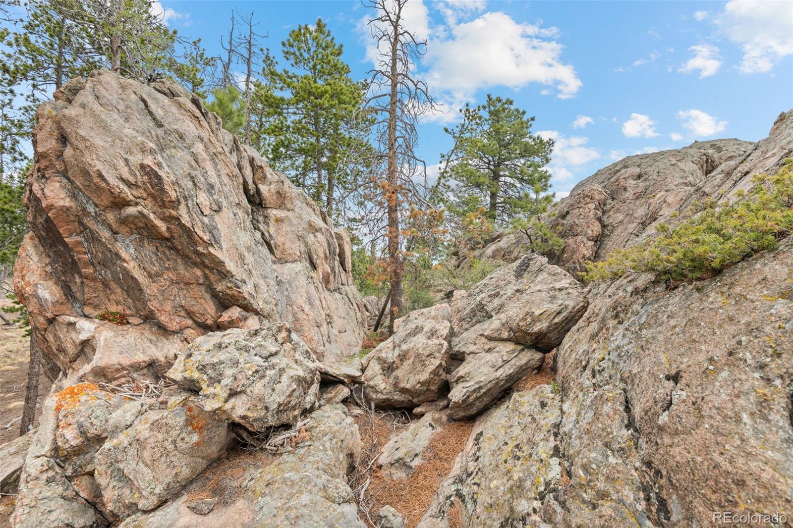 10157 Horizon View Drive