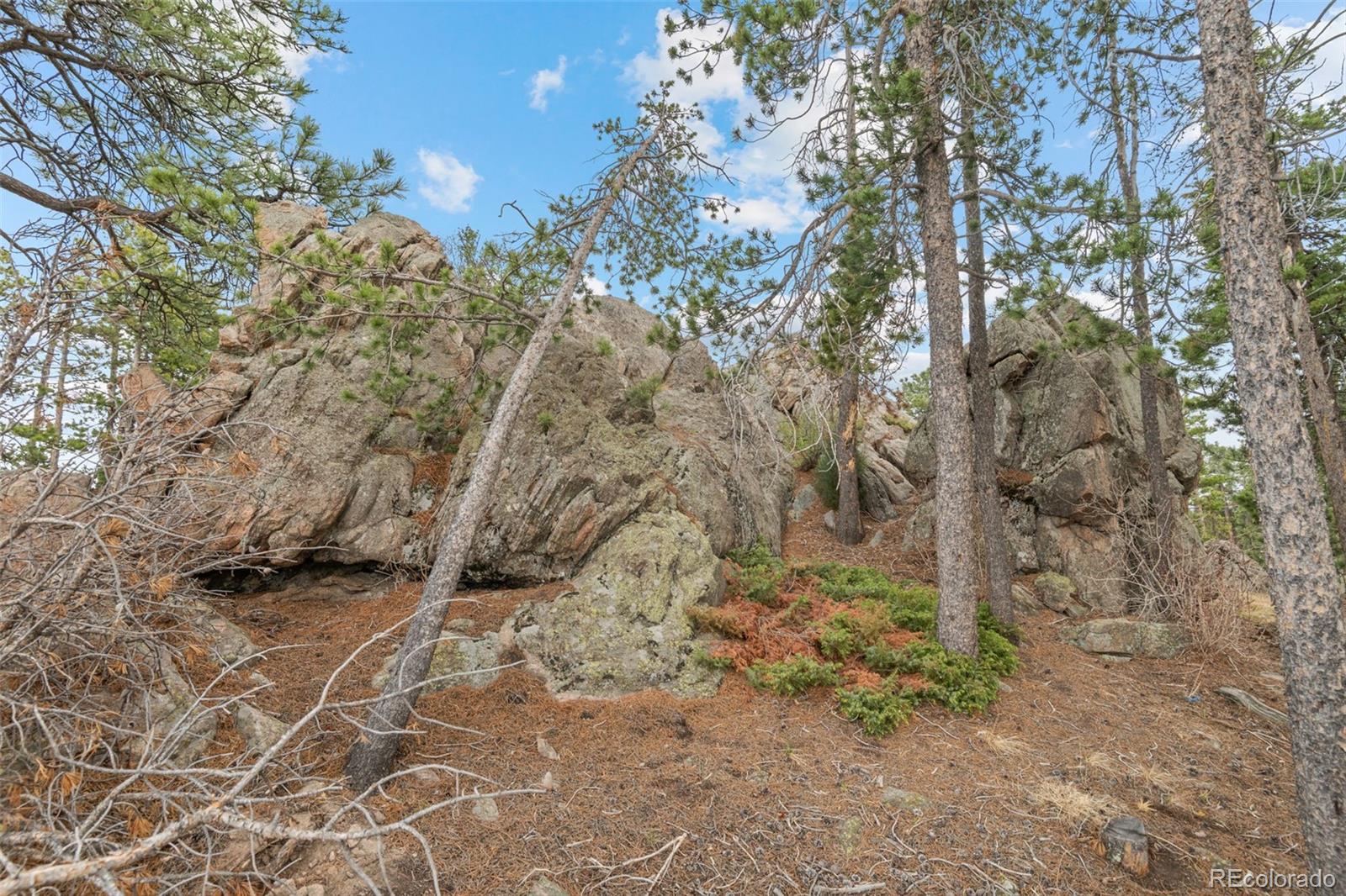 10157 Horizon View Drive