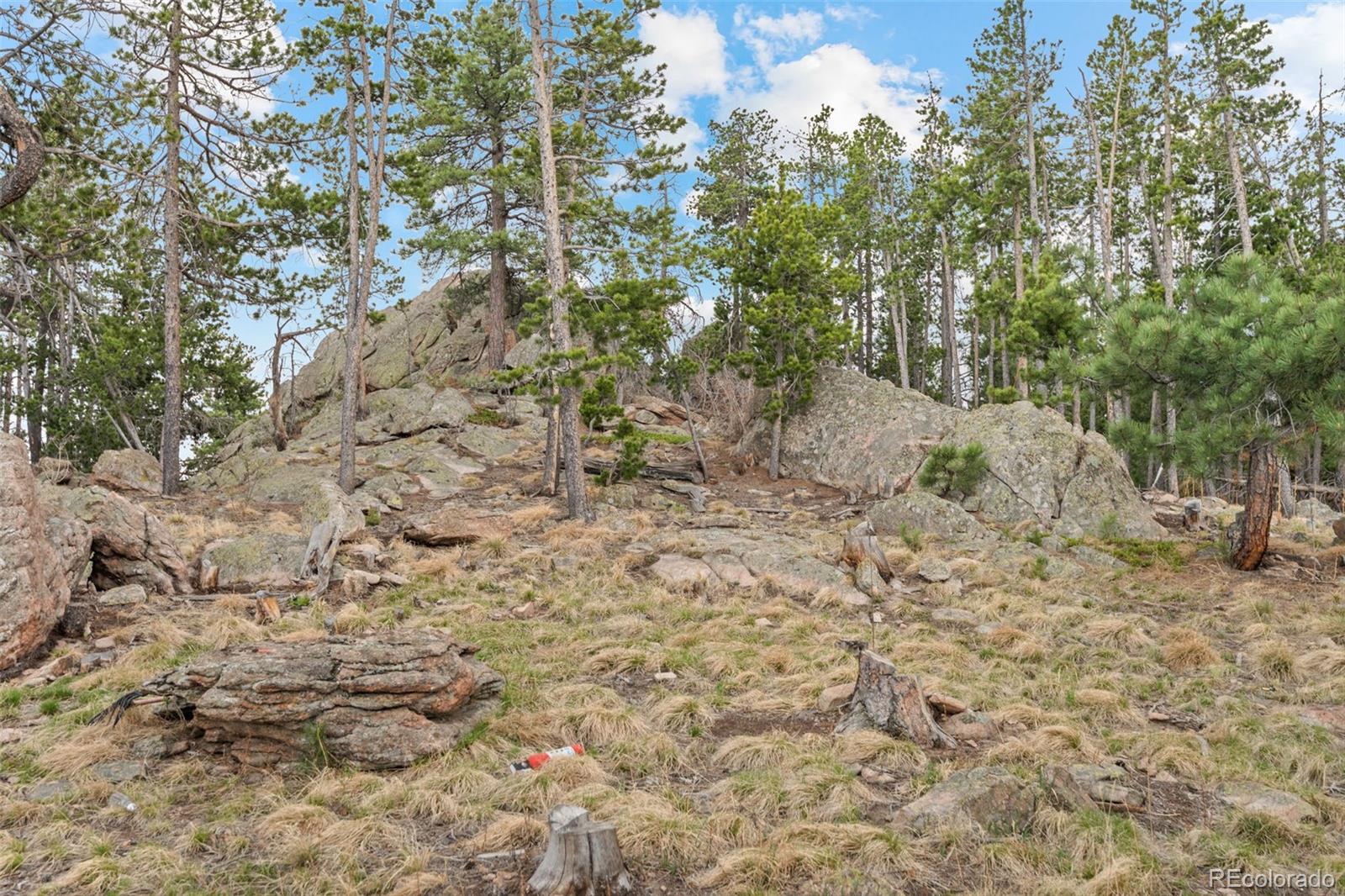 10157 Horizon View Drive