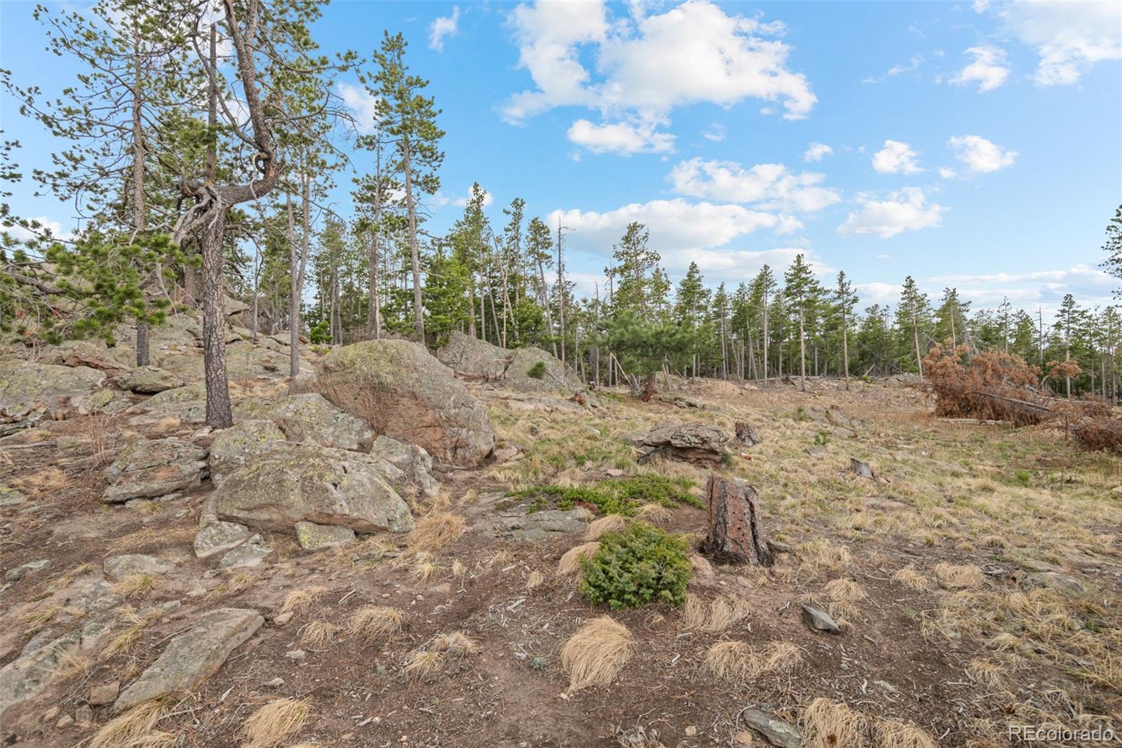 10157 Horizon View Drive