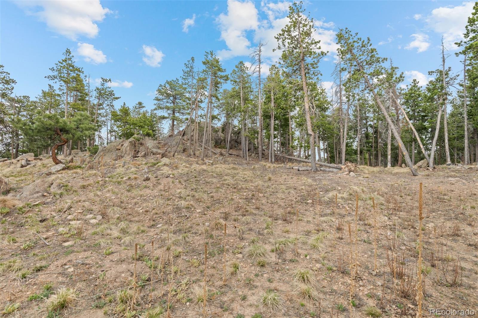 10157 Horizon View Drive