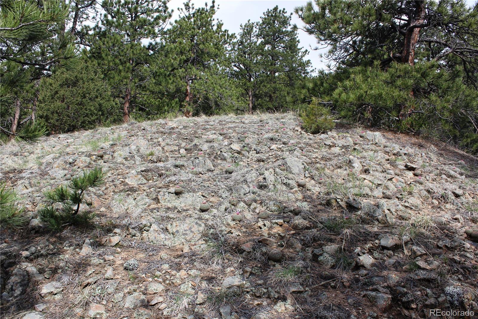 235 County Road 87