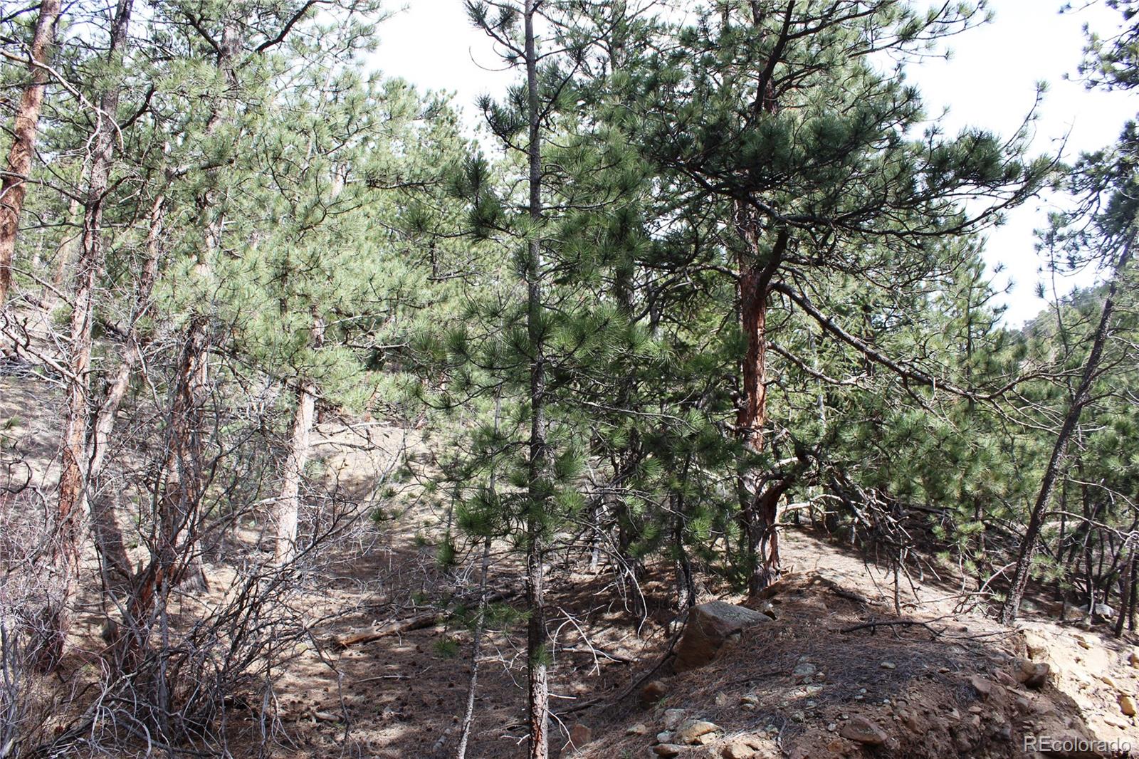 235 County Road 87