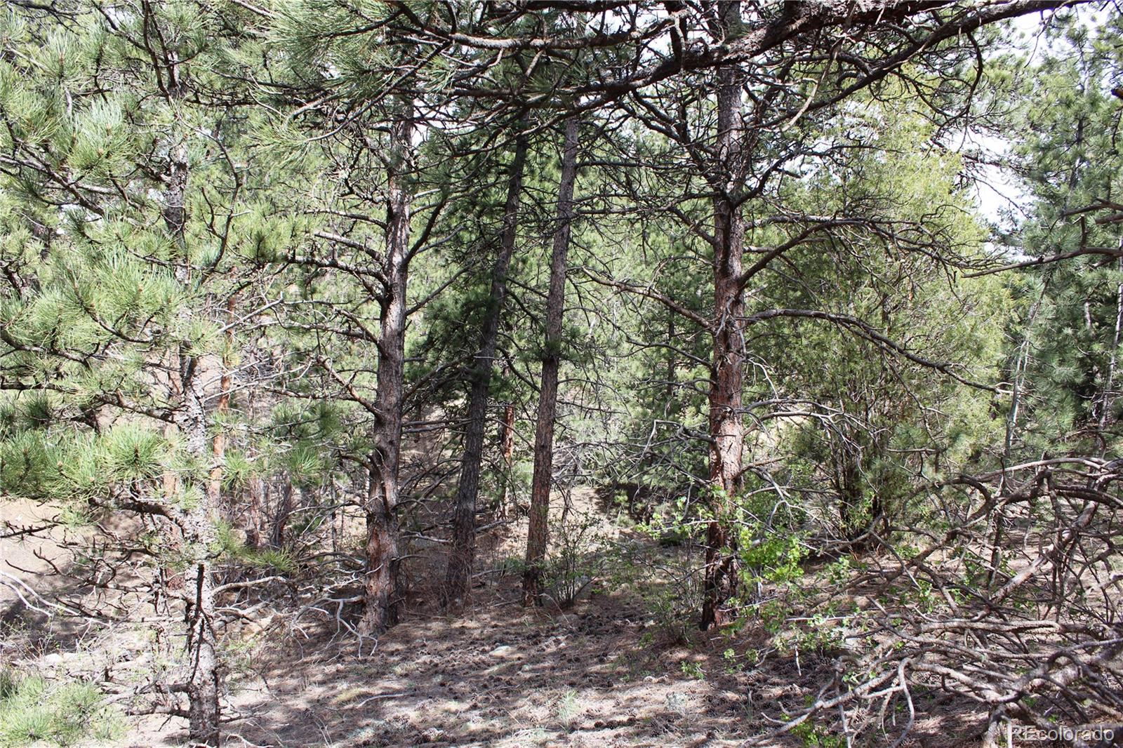 235 County Road 87