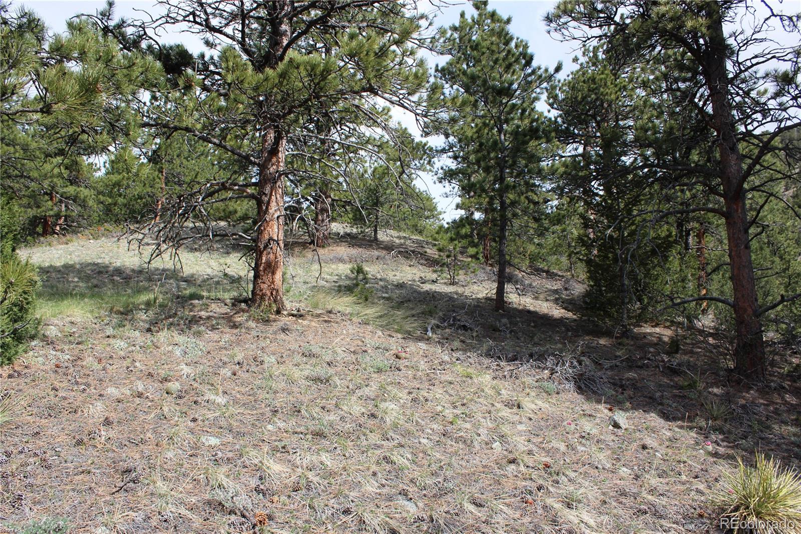 235 County Road 87