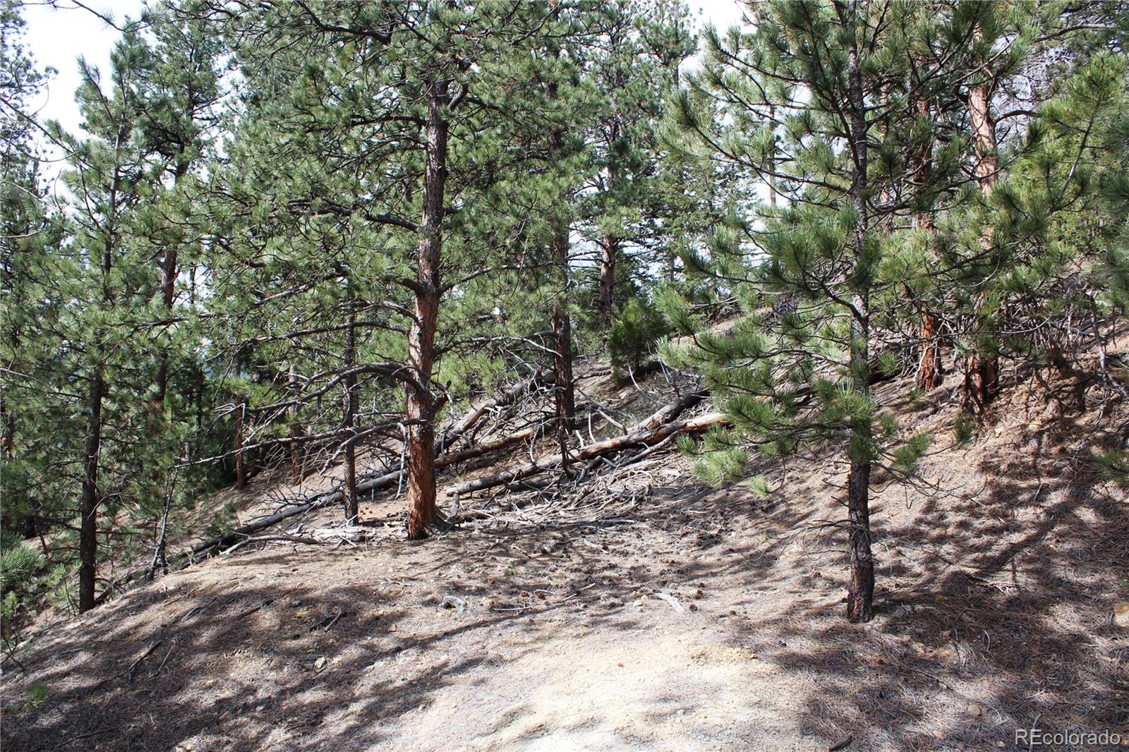 235 County Road 87