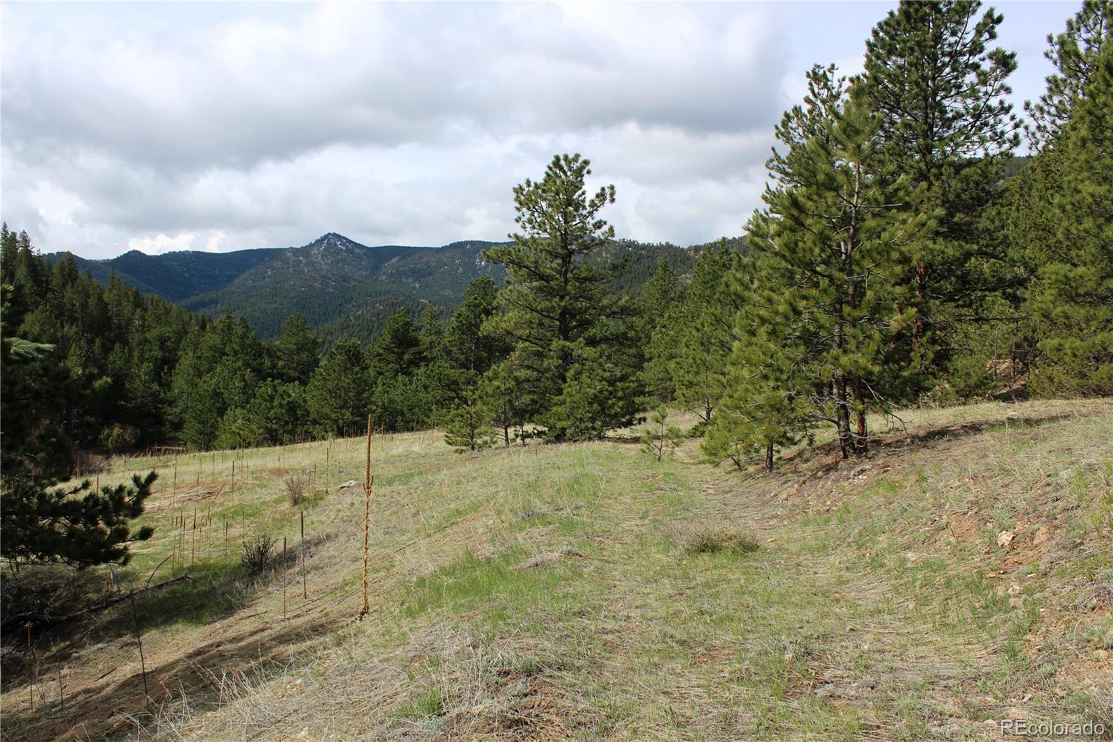 235 County Road 87