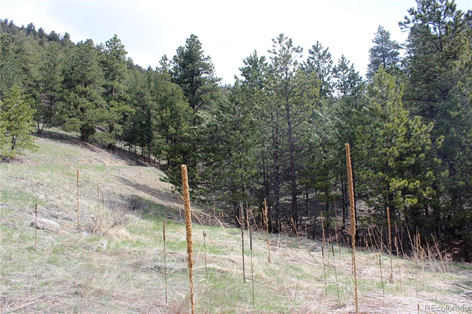 235 County Road 87