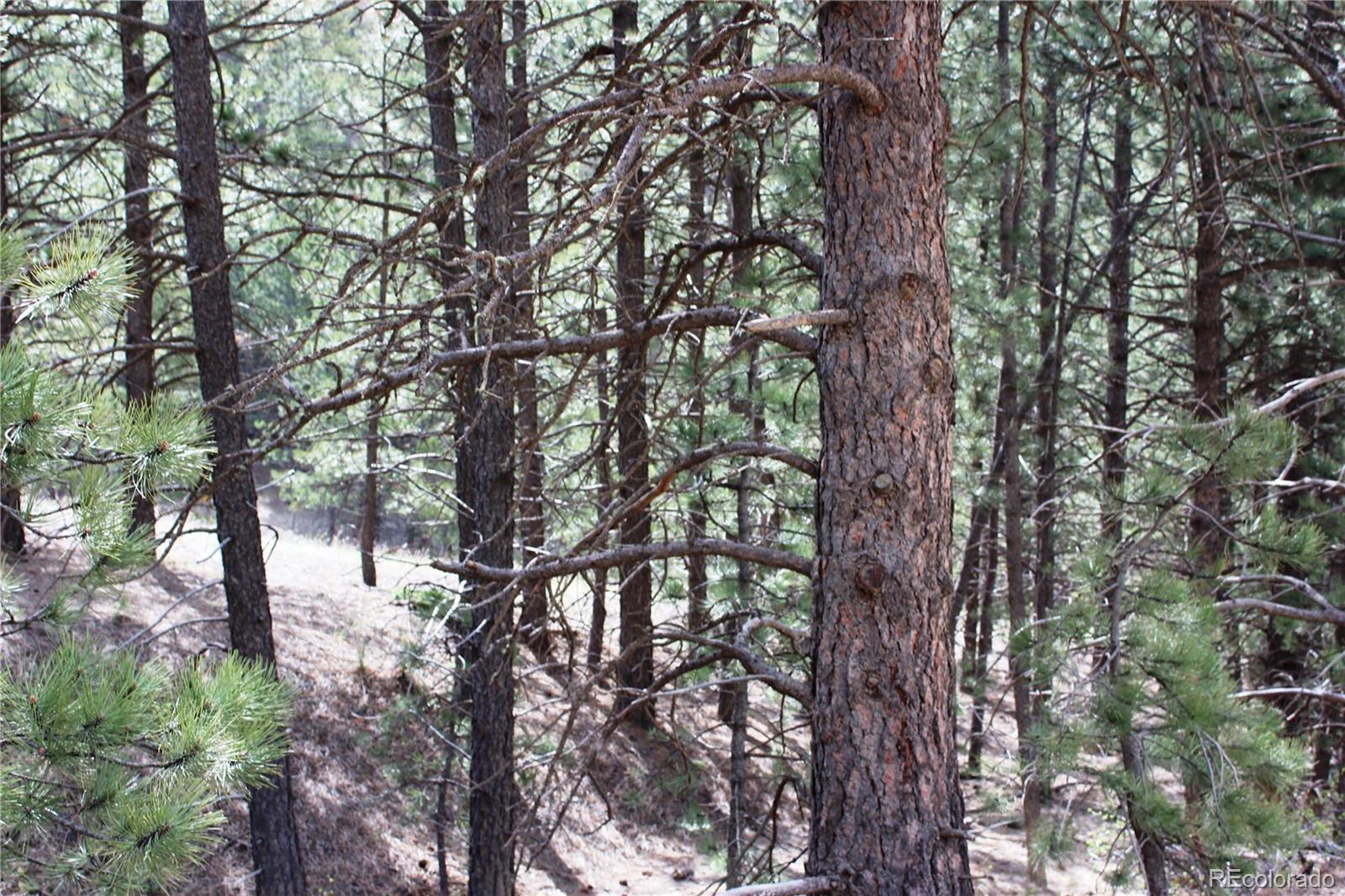 235 County Road 87