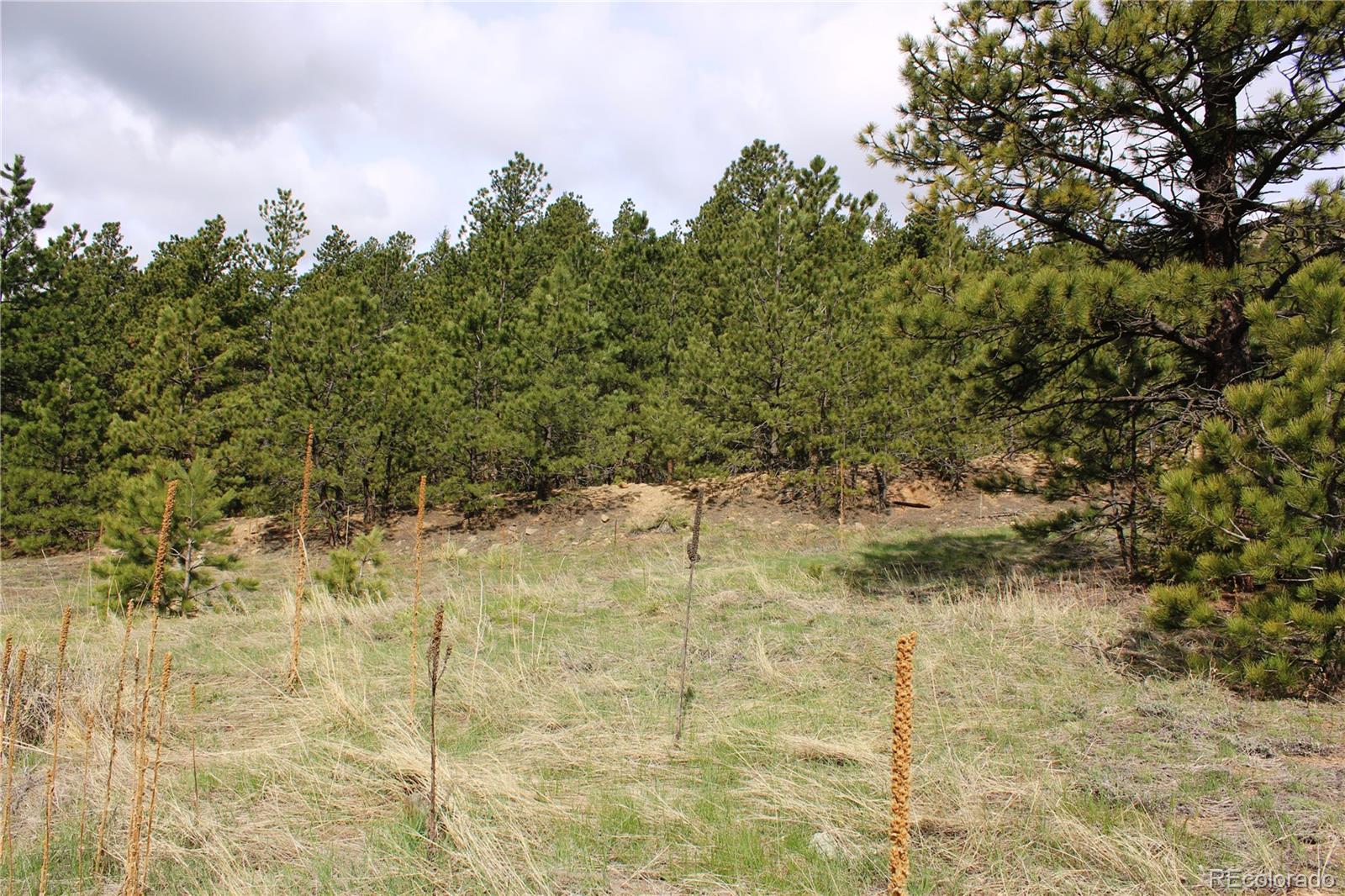 235 County Road 87